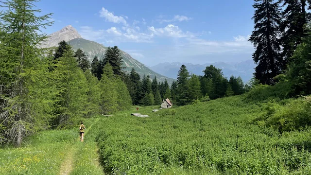 Alpage du Champsaur